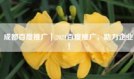 成都百度推广｜2021百度推广，助力企业！