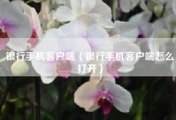 银行手机客户端（银行手机客户端怎么打开）