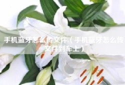 手机蓝牙怎么传文件（手机蓝牙怎么传文件到车上）