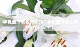 手机蓝牙怎么传文件（手机蓝牙怎么传文件到车上）