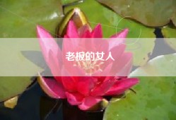 老板的女人