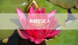 老板的女人
