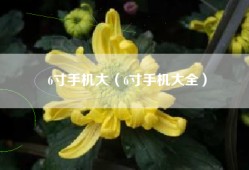 6寸手机大（6寸手机大全）
