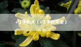6寸手机大（6寸手机大全）