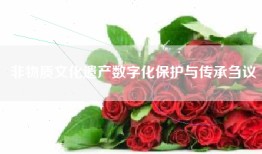 非物质文化遗产数字化保护与传承刍议