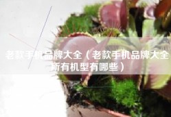 老款手机品牌大全（老款手机品牌大全所有机型有哪些）