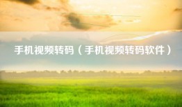 手机视频转码（手机视频转码软件）