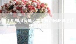 本手机如何截屏（本手机如何截屏图片 快捷方式）
