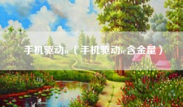 手机驱动ic（手机驱动ic含金量）