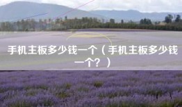 手机主板多少钱一个（手机主板多少钱一个？）