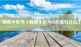 韩国手机号（韩国手机号82后面写什么）