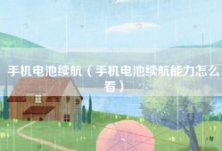 手机电池续航（手机电池续航能力怎么看）