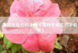 支持无线充的手机（支持无线充的手机壳）