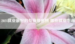2024就业最好的专业排名榜 哪些就业率高