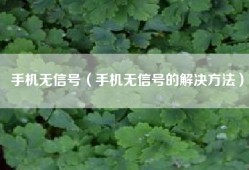 手机无信号（手机无信号的解决方法）