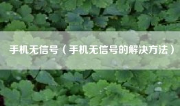 手机无信号（手机无信号的解决方法）