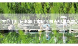 索尼手机充电器（索尼手机充电器参数）