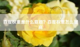 百度权重是什么意思？百度权重怎么提高