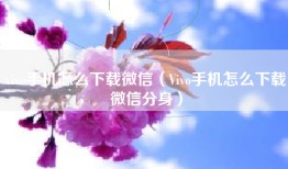 vivo手机怎么下载微信（Vivo手机怎么下载微信分身）