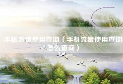 手机流量使用查询（手机流量使用查询怎么查询）