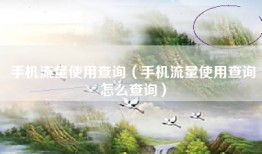 手机流量使用查询（手机流量使用查询怎么查询）