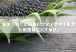 苹果手机怎么设置自定义（苹果手机怎么设置自定义库乐队）