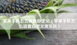苹果手机怎么设置自定义（苹果手机怎么设置自定义库乐队）