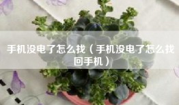 手机没电了怎么找（手机没电了怎么找回手机）