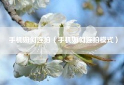 手机如何连拍（手机如何连拍模式）