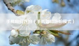 手机如何连拍（手机如何连拍模式）