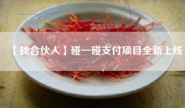 【找合伙人】碰一碰支付项目全新上线
