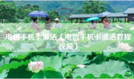 电信手机卡激活（电信手机卡激活教程视频）