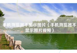 手机浏览器不显示图片（手机浏览器不显示图片视频）