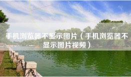 手机浏览器不显示图片（手机浏览器不显示图片视频）