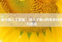 强与弱人工智能：深入了解AI的未来应用与挑战