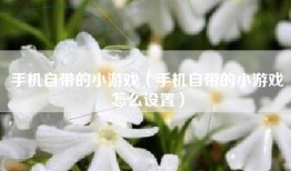 手机自带的小游戏（手机自带的小游戏怎么设置）