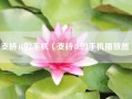 支持4k的手机（支持4k的手机播放器）