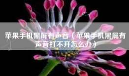 苹果手机黑屏有声音（苹果手机黑屏有声音打不开怎么办）