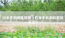 红米手机刷机教程（红米手机刷机教程汇总）