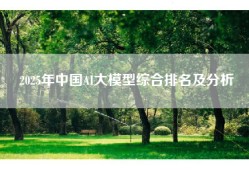 2025年中国AI大模型综合排名及分析