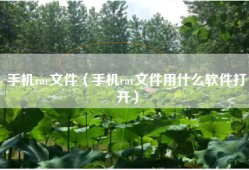 手机rar文件（手机rar文件用什么软件打开）