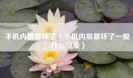 手机内屏幕坏了（手机内屏幕坏了一般什么现象）