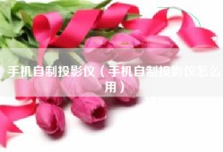手机自制投影仪（手机自制投影仪怎么用）