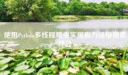 使用Python多线程爬虫实现磁力链接搜索神器