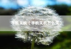 手机关机（手机关机怎么关）