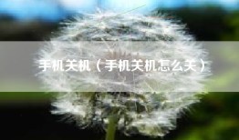 手机关机（手机关机怎么关）