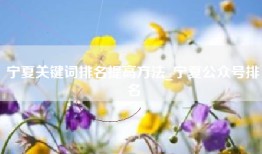 宁夏关键词排名提高方法_宁夏公众号排名