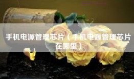 手机电源管理芯片（手机电源管理芯片在哪里）