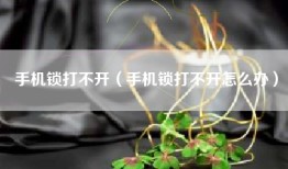 手机锁打不开（手机锁打不开怎么办）