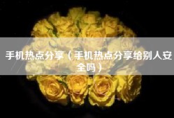 手机热点分享（手机热点分享给别人安全吗）